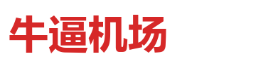 牛逼机场 logo